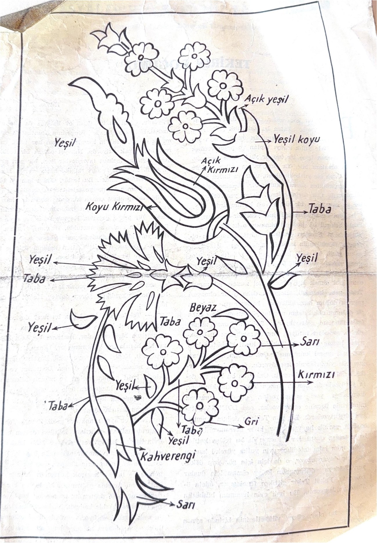 Original tulip pattern design, hand-drawn and annotated with color instructions in Turkish
